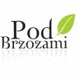 Restauracja Pod Brzozami