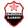 Klub Sportowy Gwiazda Karsin