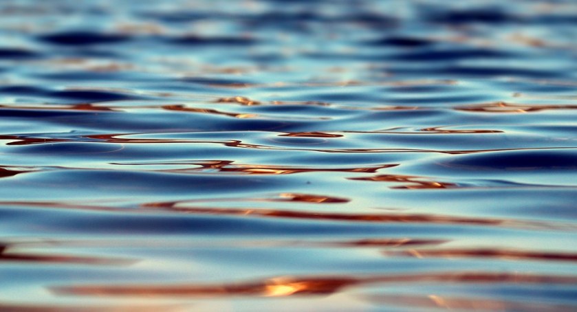 fot. pixabay.com
