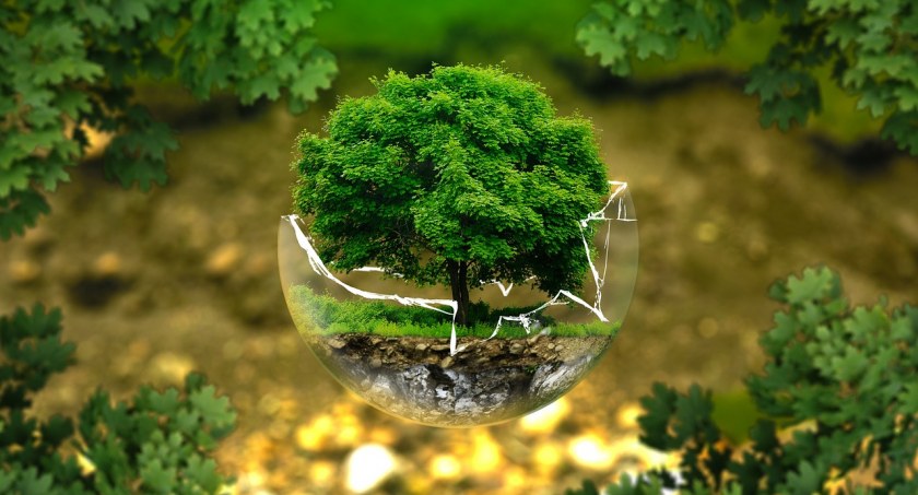 fot. pixabay.com