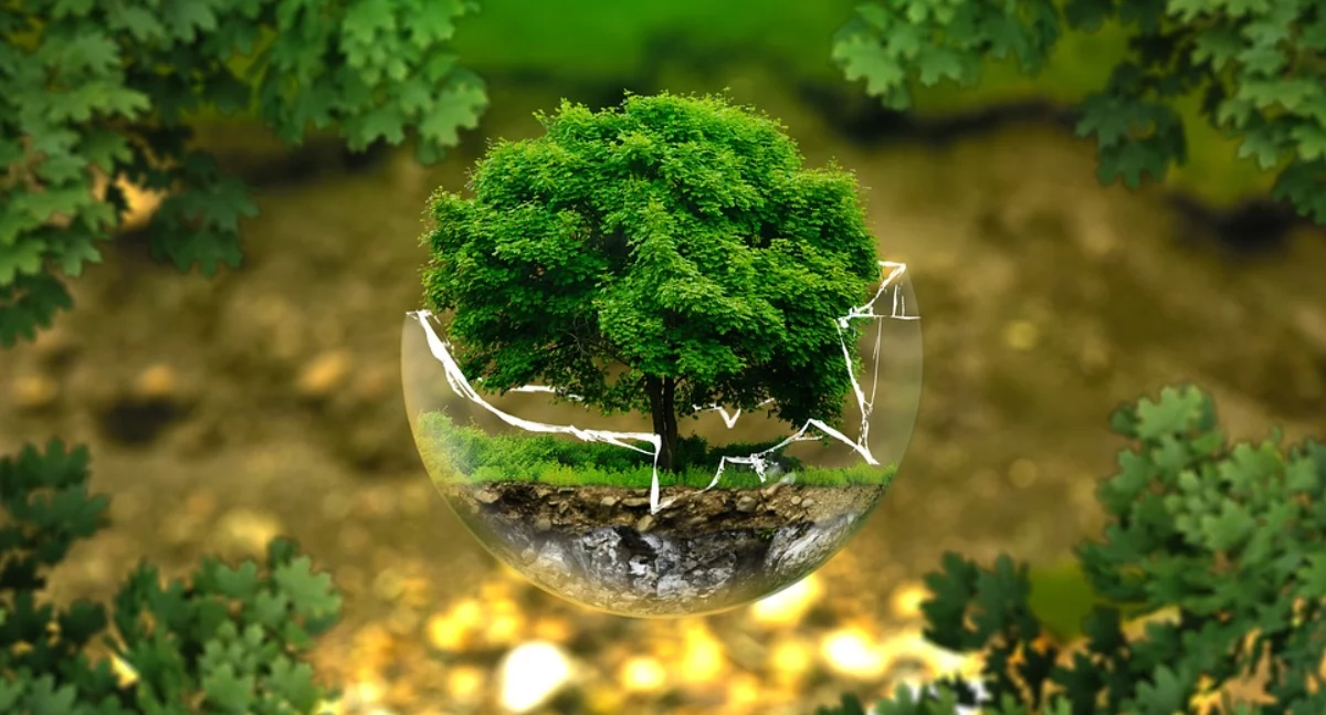 fot. pixabay.com