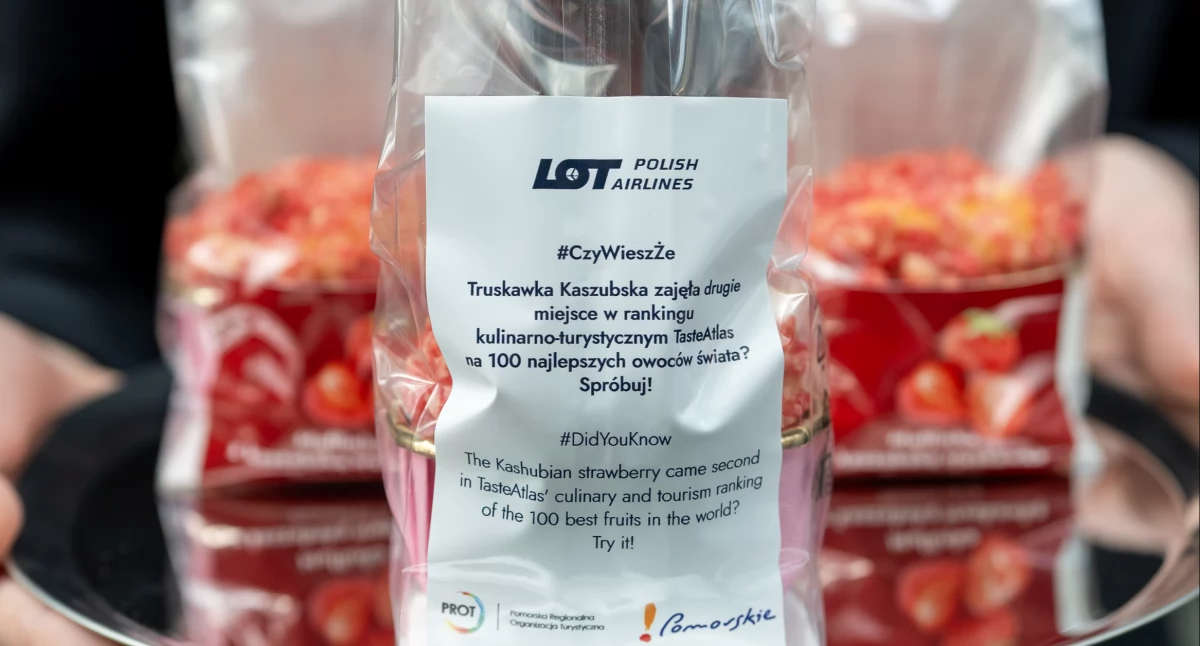 Rozmaitości, Kaszubska truskawka ambasadorką Pomorza wysokościach lotnicza promocja regionalnych smaków - zdjęcie, fotografia
