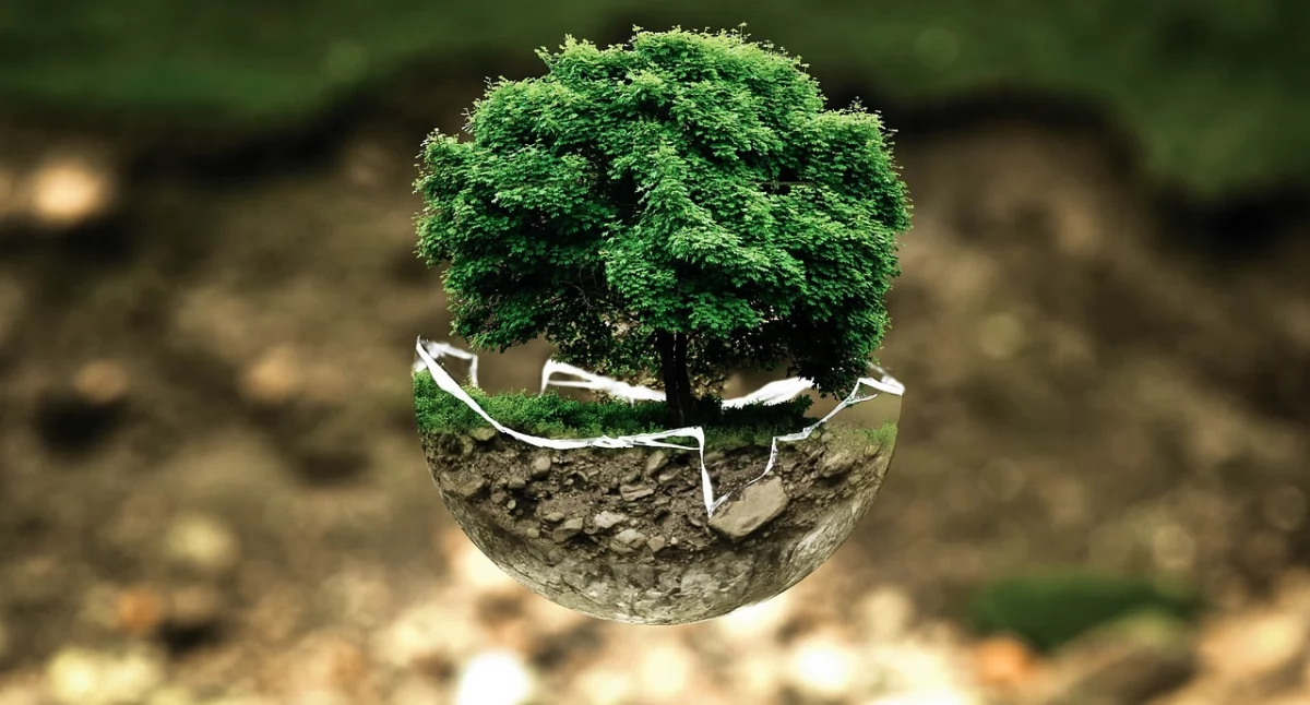 fot. pixabay.com