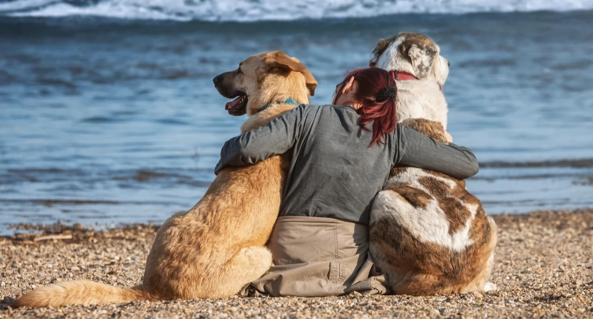 fot. zdjęcie podglądowe