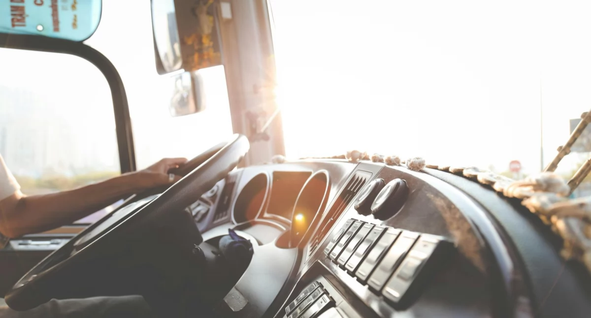 Źródło zdjęcia: pexels.com Licencja: https://www.pexels.com/photo-license/