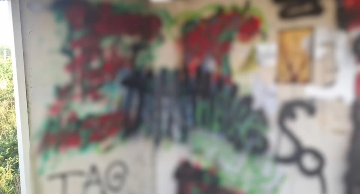 Kronika policyjna, Wandale akcji rękach policji bardzo młodzi ludzie! - zdjęcie, fotografia