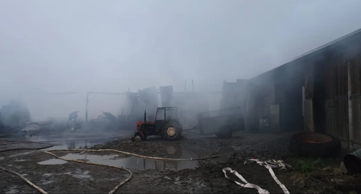 Pożary, Straty pożarze chlewni Karsinie sięgają - zdjęcie, fotografia