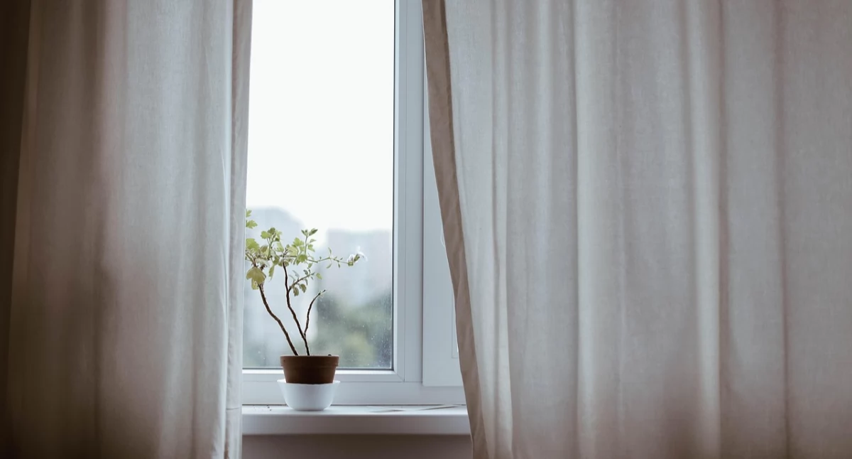Źródło zdjęcia: pixabay.com Licencja: https://pixabay.com/pl/service/license