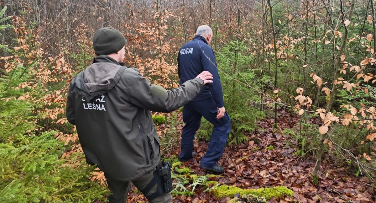 Policja, Wzmożone patrole lasach przed świętami Policja Straż Leśna chronią choinki przyrodę - zdjęcie, fotografia