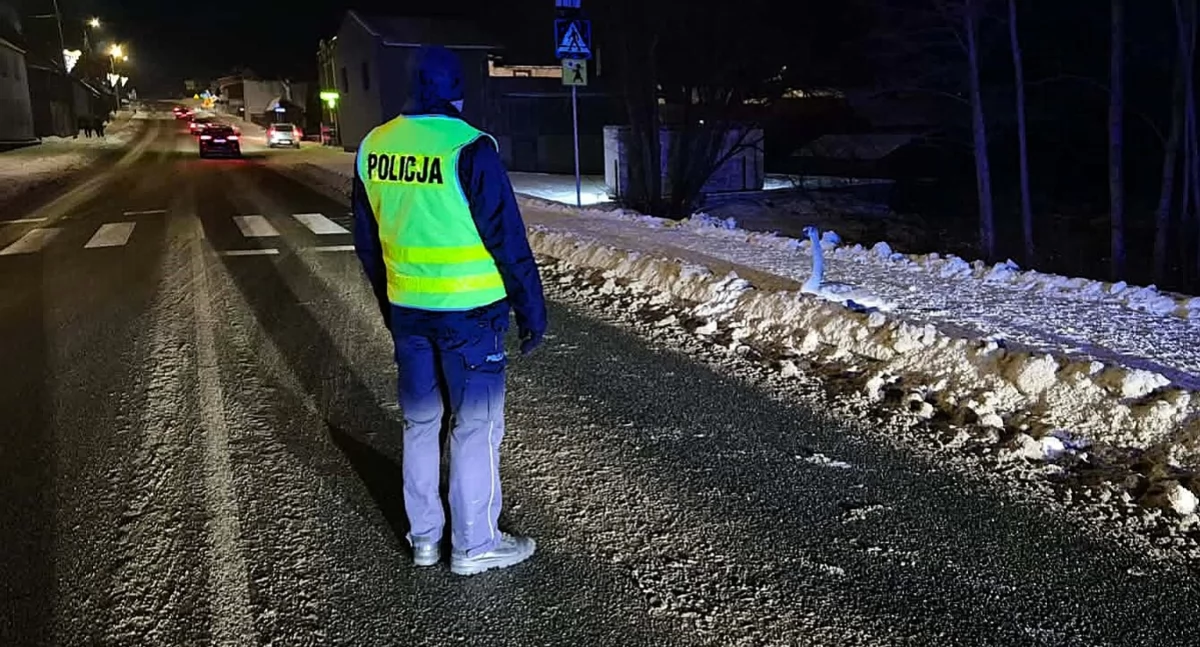 Policja, Policjanci ratowali rannego łabędzia! - zdjęcie, fotografia