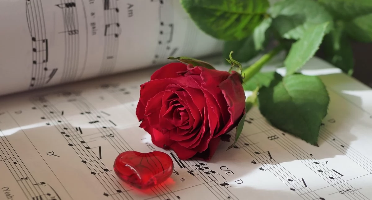 fot. pixabay.com