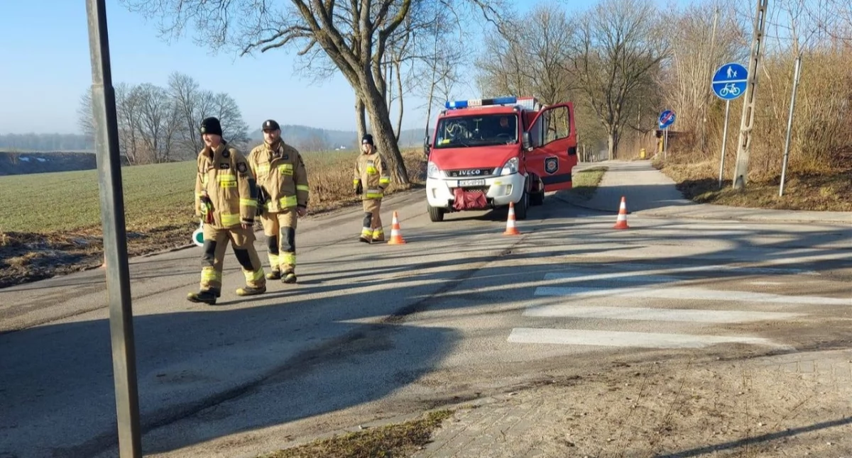 Służby w akcji, Droga Śledziowa zablokowana Nieznani sprawcy ponacinali przydrożne drzewa! - zdjęcie, fotografia
