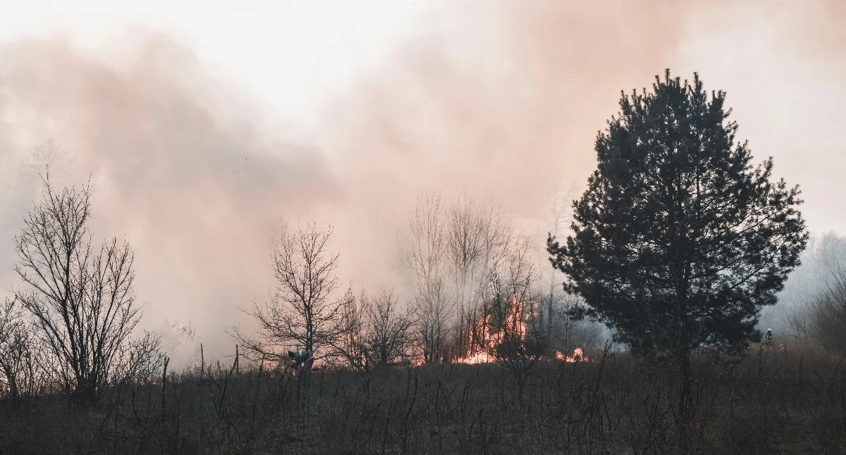 Pożary, Pożar Rybakach Strażacy walczyli ogniem - zdjęcie, fotografia
