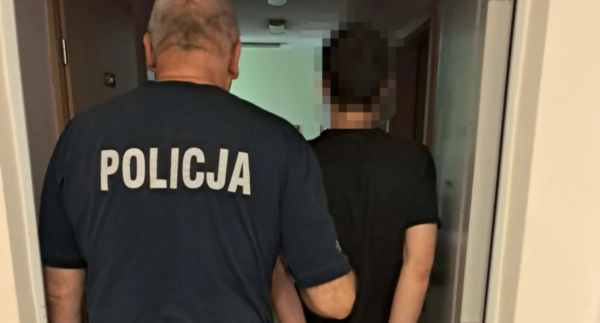 Kronika policyjna, Seryjny złodziej zatrzymany przez policję - zdjęcie, fotografia