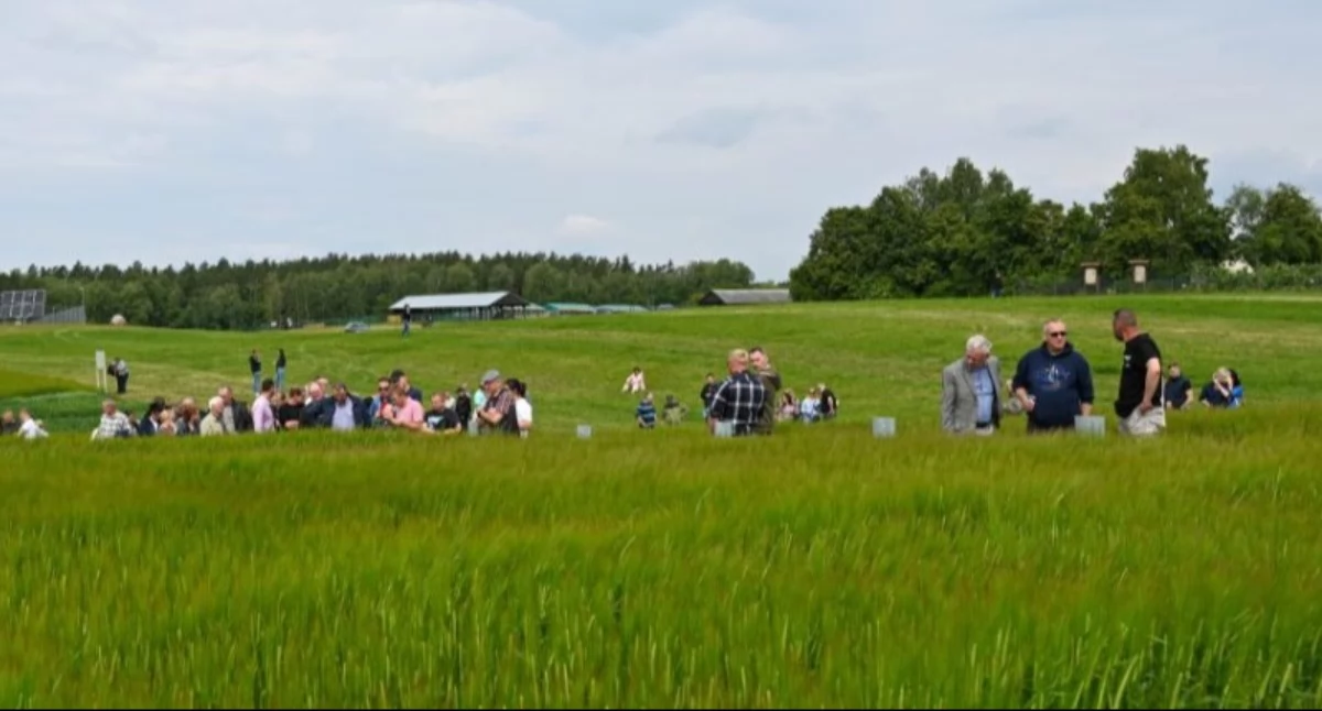 fot. nadesłane