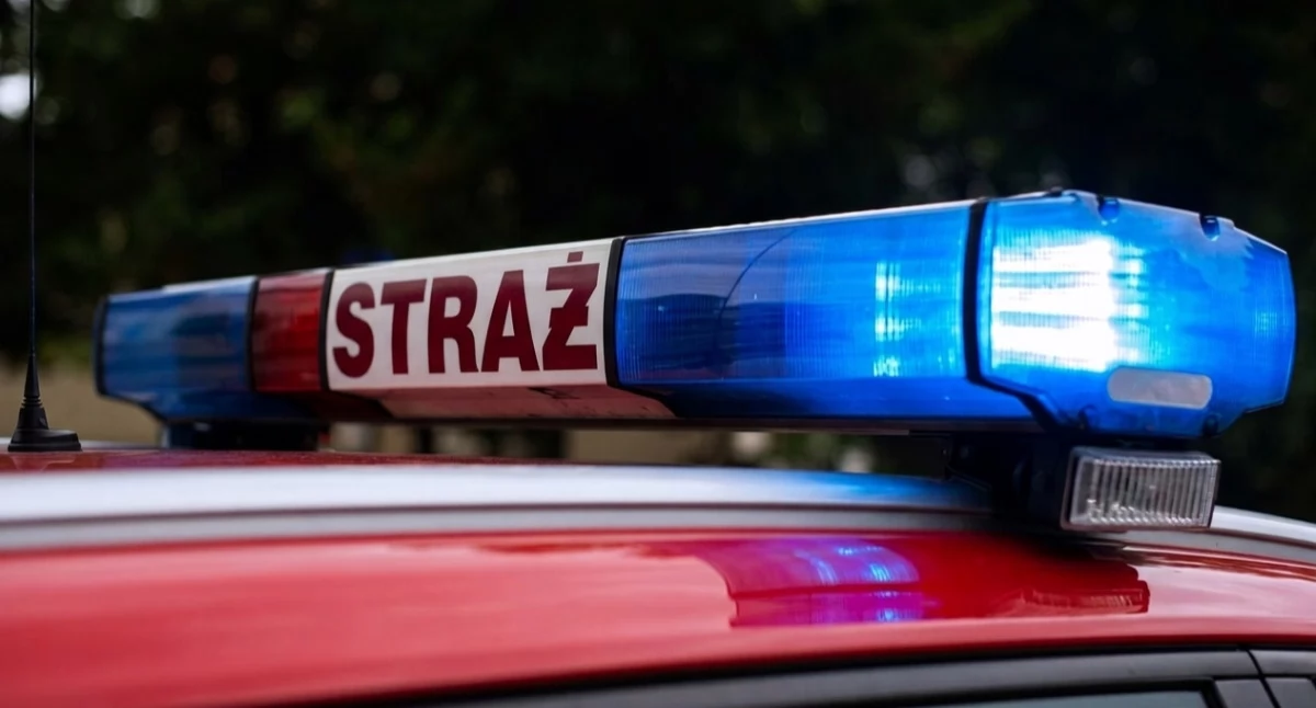 Służby w akcji, Śmierć dziecka Kościerzynie! latka przygniótł samochód! - zdjęcie, fotografia