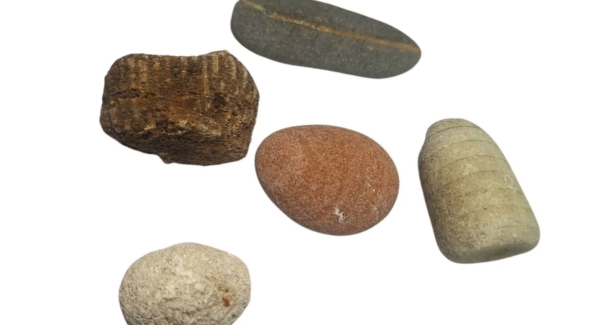 Zapowiedzi, Wdzydzki Krajobrazowy zaprasza spotkanie geologiczne „Opowieści kamienia polnego” - zdjęcie, fotografia