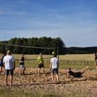 zdjęcie nr 29