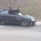 Fotka nr 2 z 4