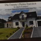 zdjęcie nr 9
