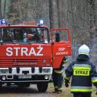 zdjęcie nr 61