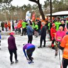 zdjęcie nr 27