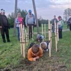 zdjęcie nr 12