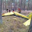 Fotka nr 1 z 2