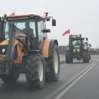 zdjęcie nr 51