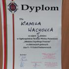 zdjęcie nr 7