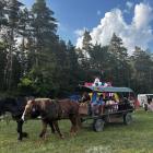 zdjęcie nr 8