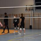 Fotka nr 2 z 18