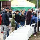 zdjęcie nr 64