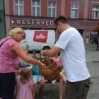 zdjęcie nr 16
