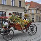 zdjęcie nr 15