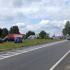 zdjęcie nr 12