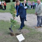 zdjęcie nr 22