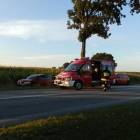 zdjęcie nr 7