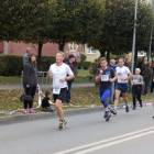 zdjęcie nr 42