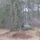 zdjęcie nr 8
