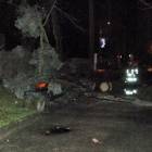 fot. archiwum