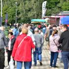 zdjęcie nr 94