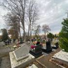 zdjęcie nr 47