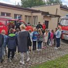 zdjęcie nr 36