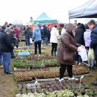 zdjęcie nr 61