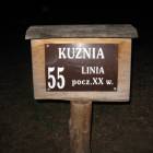 zdjęcie nr 15