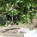 zdjęcie nr 23
