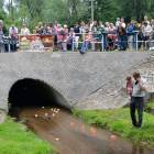 zdjęcie nr 39