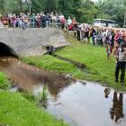 zdjęcie nr 41