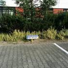 fot. nadesłane